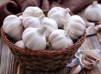 Коли викопувати часник щоб зберігався довго та не гнив