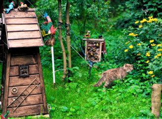 Квітковий маршрут Славутича продовжується: нові історії сусідських клумб