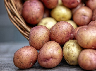 Чим врятувати картоплю від проростання в льоху: один простий інгредієнт з кухні