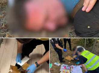 «Наркобарон» із Києва заробляв 8 мільйонів щомісяця: викрито міжнародну схему постачання кокаїну з Гондурасу