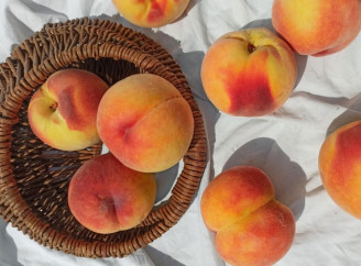 Урожай персиків та абрикосів у деяких регіонах України втрачено повністю