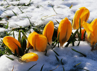 Коли повернеться тепло: синоптикиня назвала дату потепління в Україні