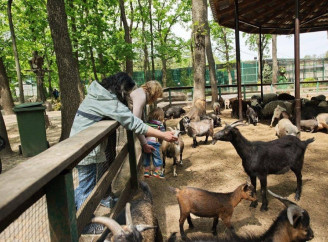 Після обстрілу під Харковом зоозахисники звинуватили «Фельдман Екопарк» у жорстокому поводженні з тваринами