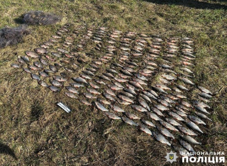 На Чернігівщині чоловік незаконно виловив понад 25 кг риби під час нересту