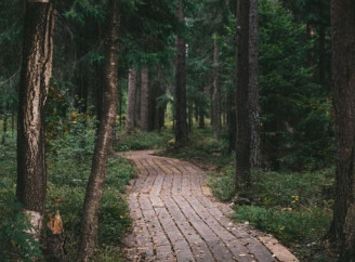 Виберіть стежку та дізнайтесь, що приховує ваша особистість