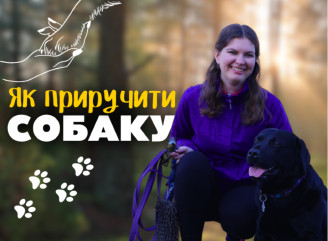 Як виховати «ідеального» пса: поради спеціалістки з поведінки собак зі Славутича