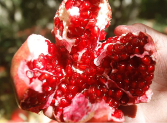 Не лише чорниця: які продукти мають ще більше антиоксидантів