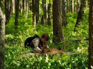 Студенти досліджували мурах у Чорнобильському заповіднику