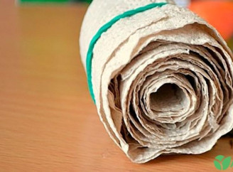 Як посіяти насіння за допомогою туалетного паперу: простий лайфгак для садівників