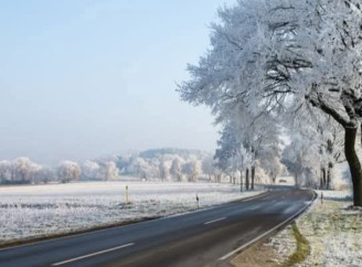 На Чернігівщині 10 квітня очікуються заморозки та сильний вітер