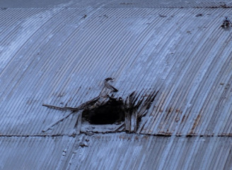 Пошкодження Чорнобильського конфайнменту після удару дрона: деталі та наслідки