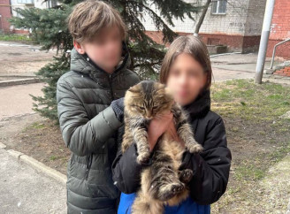 У Чернігові поліцейський врятував кота, замкненого в підвалі