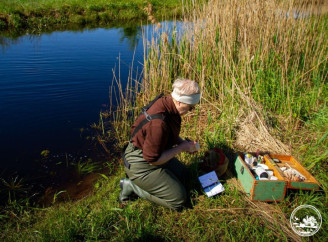 У водоймах Чорнобильського заповідника знайшли рідкісні види: стартували гідробіологічні дослідження