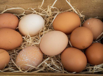 «Золоті» яйця: чому до Великодня ціни ще підскочать