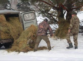 У Чорнобильському заповіднику підгодовують диких тварин через складні зимові умови
