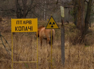 Унікальне фото з Чорнобильської зони в одному кадрі показали могильник відходів і коня Пржевальського