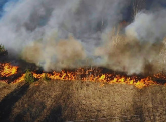 Чорнобильський заповідник під загрозою масштабної пожежі: критичний брак ресурсів