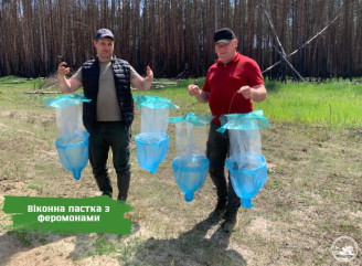 У Чорнобильському заповіднику досліджують шкідників і хвороби лісу