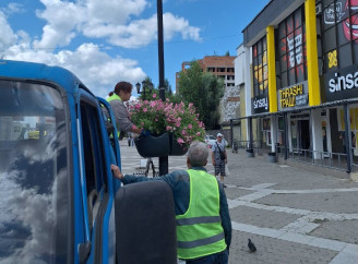 На Привокзальній площі у Славутичі облаштували вертикальне озеленення