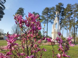 Міський голова Славутича закликав мешканців долучатися до місячника благоустрою