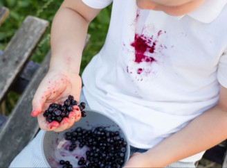 Як видалити плями від фруктів та ягід на одязі