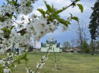 У Славутичі цвіте сад, посаджений дітьми біля храму — як символ надії та незламності
