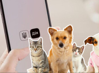 В Україні запрацює державний реєстр домашніх тварин