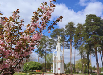 Маленьке літо у місті великої війни: яким було життя славутичан цього літа у цифрах
