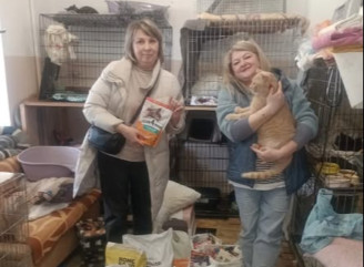 Діти зі Славутича зібрали допомогу для безпритульних тварин