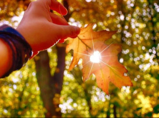 Осіннє рівнодення 2025: коли настане і які традиції збереглися в Україні