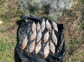 На Чернігівщині затримали трьох браконьєрів — майже 90 тисяч гривень збитків