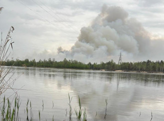 У Чорнобильському заповіднику пожежа охопила близько 1200 гектарів