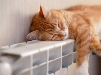 У Славутичі з 29 жовтня стартує запуск системи опалення