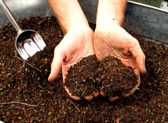 Як правильно використовувати компост у саду й на городі: корисні поради