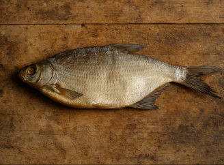 На Чернігівщині зафіксовано перший випадок ботулізму в 2025 році