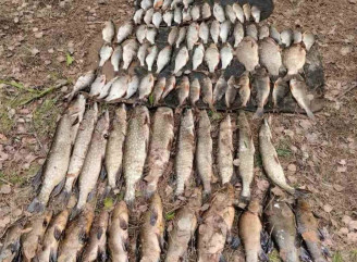 На Чернігівщині затримали браконьєра з Сумщини — виловив риби на понад 180 тисяч гривень