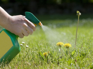 Як ефективно позбутися пальчатки на газоні: перевірені методи боротьби з бур’янами