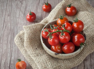 Як правильно висаджувати розсаду помідорів: поради, які допоможуть виростити багатий урожай