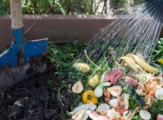 Як утричі прискорити перегнивання компосту: прості способи без біопрепаратів