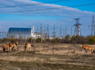 40 фактів про Чорнобильську зону: у ДАЗВ нагадали маловідомі сторінки історії