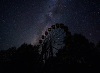 У Чорнобилі показали, як природа перетворює зону відчуження на місце відродження