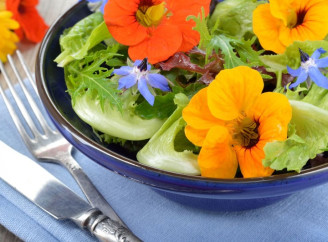 Ці їстівні квіти прикрасять город і ваші страви