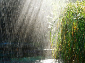 Дощова субота й прохолодна неділя: якою буде погода у Славутичі на вихідних