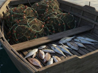 Чернігівський суд оштрафував браконьєра на понад пів мільйона гривень