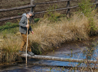 Франкфуртське зоологічне товариство відновлює болота Полісся для покращення гідрологічного балансу