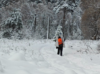 У Славутичі розчищають мережі зовнішнього освітлення від гілок і дерев після снігу та льоду