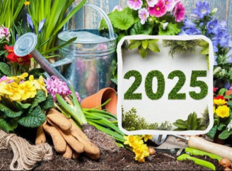 Місячний посівний календар на 2025 рік: сприятливі та несприятливі дні