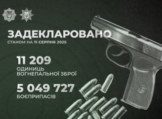В Україні задекларували понад 11 тисяч одиниць зброї та 5 мільйонів боєприпасів