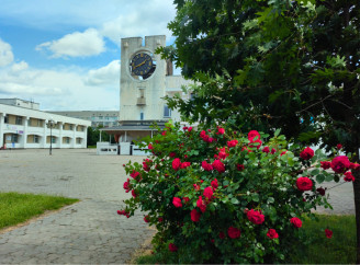 Славутич у трояндах. Літо, яке хочеться зберегти