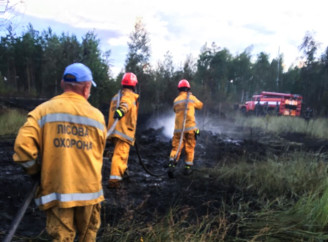 Чорнобильські ліси можуть спалахнути: хто захистить зону від екологічної катастрофи?